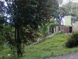 York Settlement, Westmoreland, Jamaica - Commercial/farm land for Sale